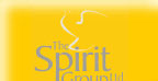 The Spirit Group Limited